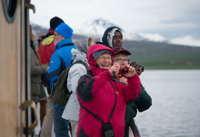 Whale Watching Akureyri