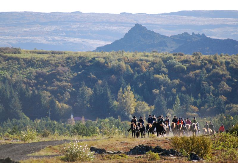 Horseback riding tour iceland