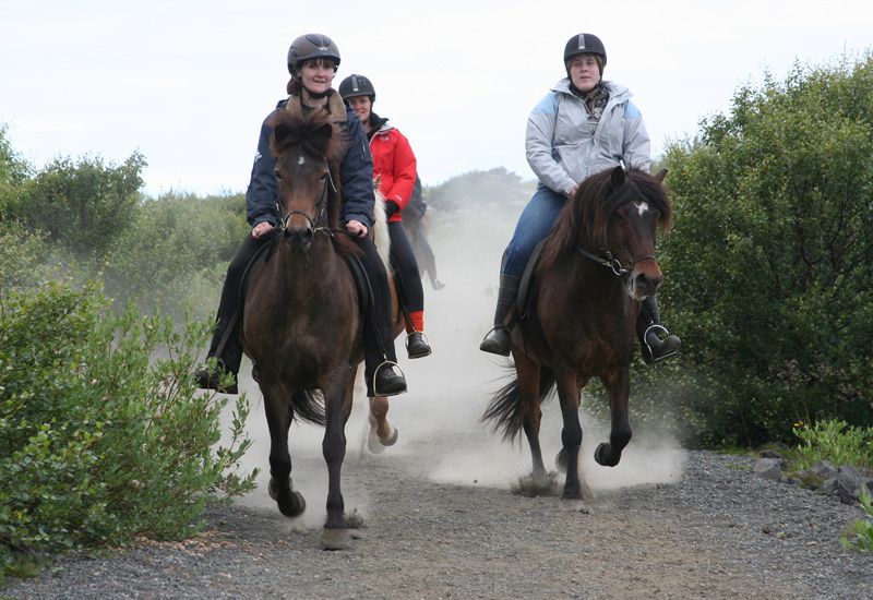 horseback riding reykjavik